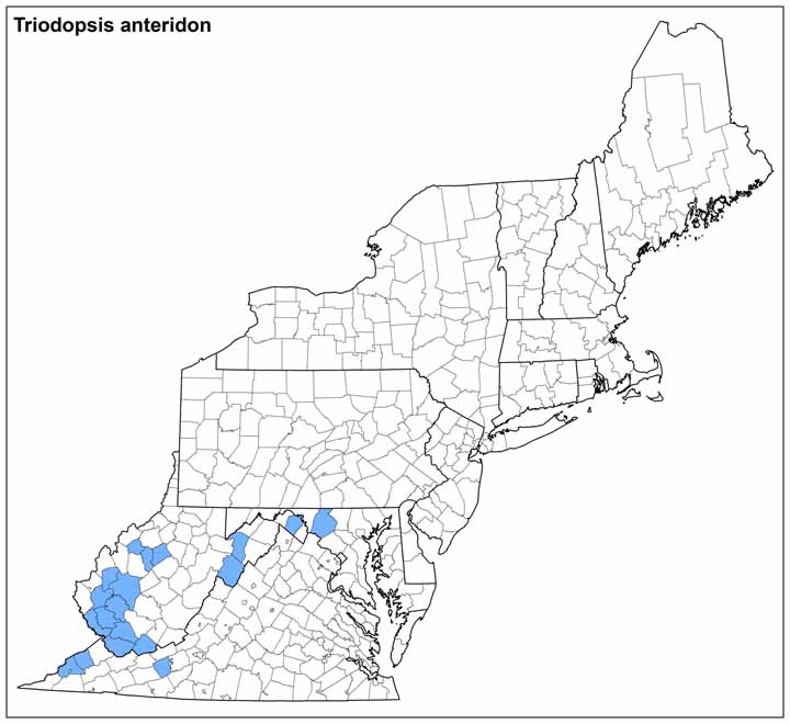 Triodopsis anteridon Range Map
